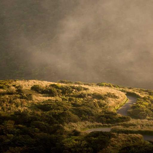 Membangun Sistem Informasi yang Tangguh dan Terintegrasi