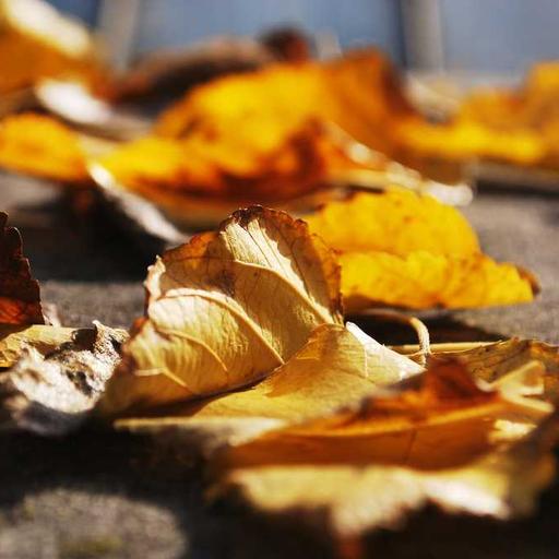 Trik Membuat Catatan yang Mudah Diingat dan Dipahami